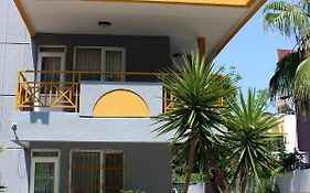 Alpat Homes